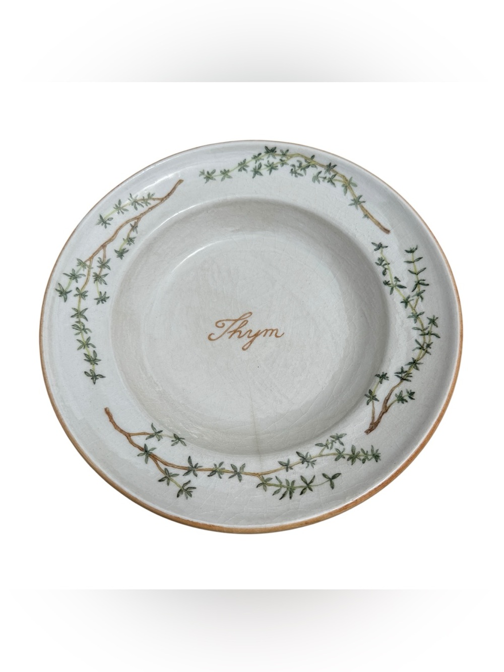 Vintage Williams Sonoma Thyme Pasta Bowl Italy Culinary Herbs Retired Rare HTF